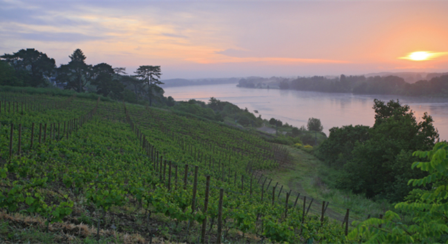 44b6023e-9931-4492-8599-dc5d85843cda 44b6023e-9931-4492-8599-dc5d85843cda