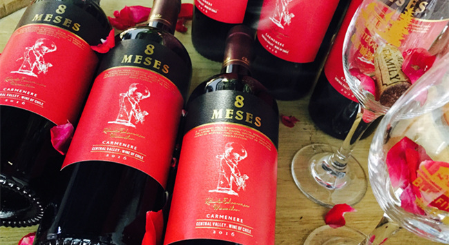 做智利紅酒代理生意的利潤(rùn)如何 做智利紅酒代理生意的利潤(rùn)如何