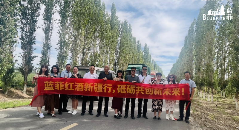 藍(lán)菲 藍(lán)菲