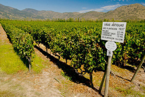 葡萄酒產(chǎn)(chǎn)區(qū)(qū)