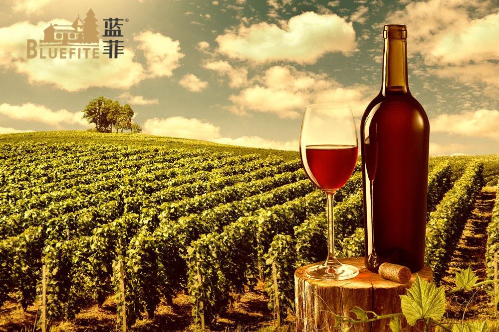 紅酒加盟商千萬別踏進(jìn)(jìn)這八個(gè)陷阱