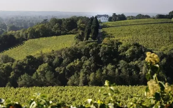 法國盧瓦爾河葡萄酒產(chǎn)(chǎn)區(qū)(qū)