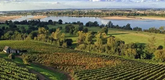 法國盧瓦爾河葡萄酒產(chǎn)(chǎn)區(qū)(qū)