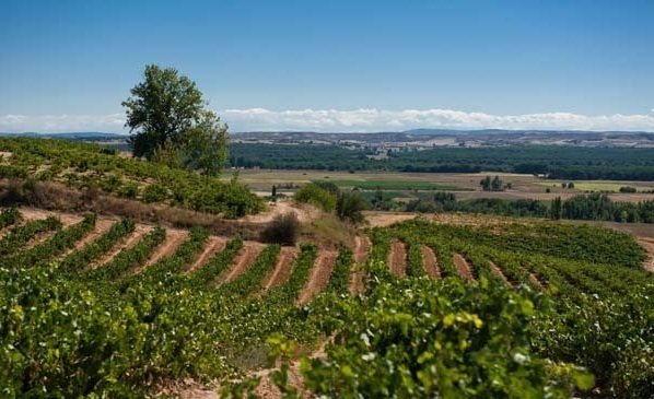 西班牙加利西亞葡萄酒產(chǎn)區(qū)(qū)