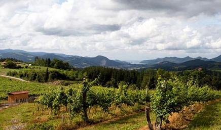 西班牙加利西亞葡萄酒產(chǎn)區(qū)(qū)