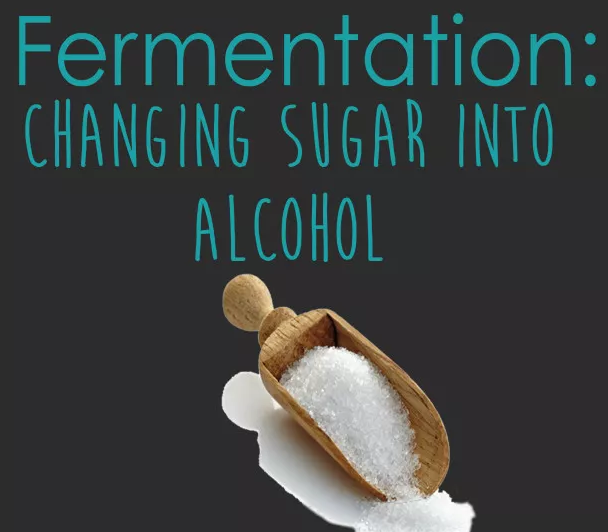 葡萄酒糖分越高，酒精度就越低？