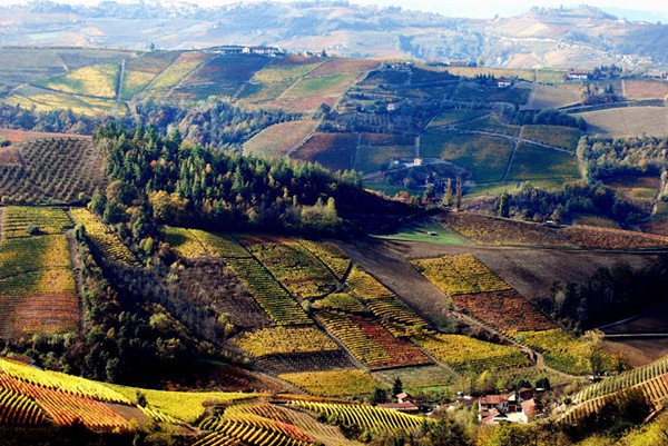 格魯吉亞葡萄酒產(chǎn)(chǎn)區(qū)(qū)