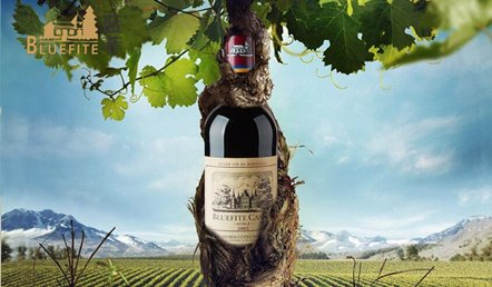 代理進(jìn)(jìn)口紅酒品牌生意好不好做?