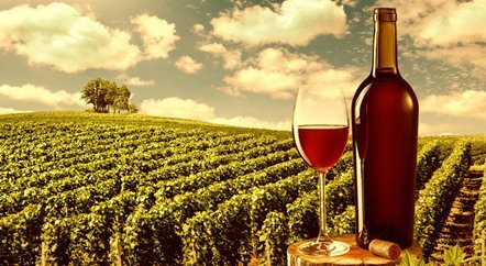 刷新拍賣紀錄的1945年羅曼尼·康帝是一款怎樣的酒？