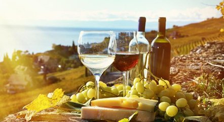 波爾多葡萄酒之城累計(jì)(jì)接待游客超過(guò)(guò)100萬(wàn)(wàn)名