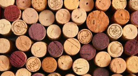 香檳酒商欲通過首屆進(jìn)博會搶占中國消費升級新商機(jī)