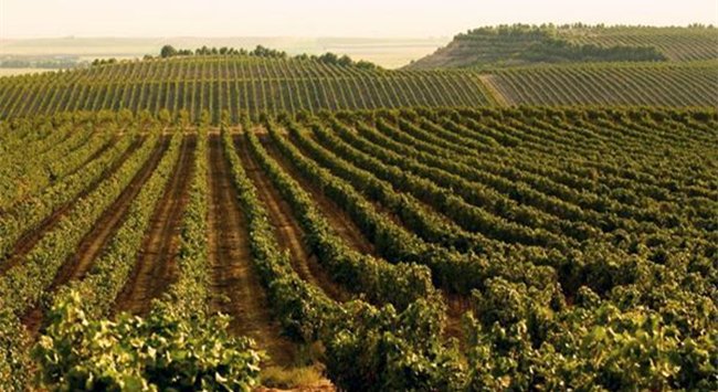 耶克拉產(chǎn)(chǎn)區(qū)(qū)