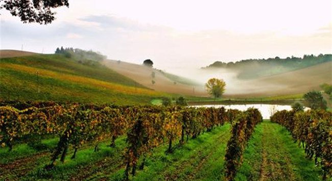 意大利葡萄酒產(chǎn)(chǎn)區(qū)(qū)