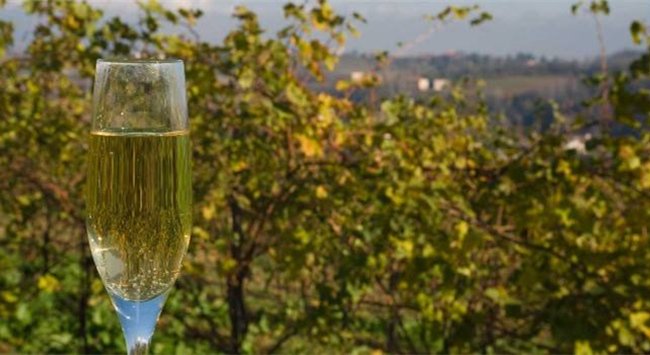 意大利普羅賽克葡萄酒產(chǎn)(chǎn)區(qū)(qū)