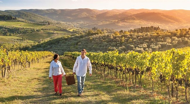 美國加州葡萄酒產(chǎn)區(qū)(qū)