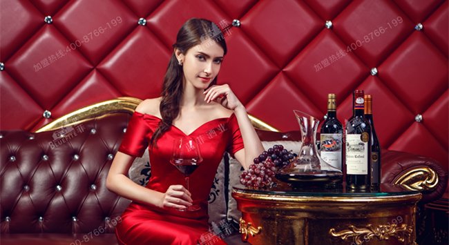 藍(lán)(lán)菲紅酒